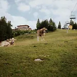 Σαλέ G12 - Mountain Luxury Ζέεφελντ