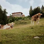 Alpehytte G12 - Mountain Luxury Seefeld in Tirol