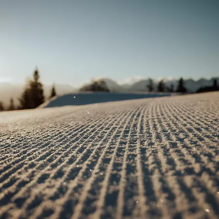G12 - Mountain Luxury By Peak Seefeld in Tirol
