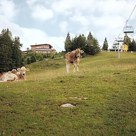Chalet G12 - Mountain Luxury By Peak