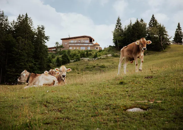 Horská chata G12 - Mountain Luxury Seefeld in Tirol